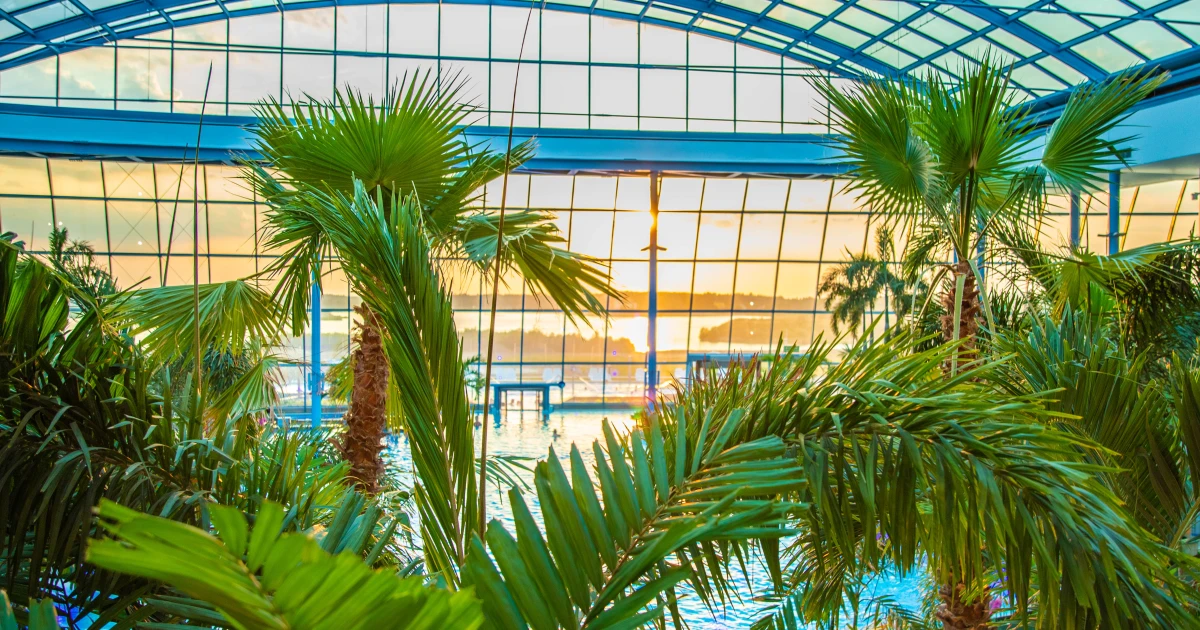 Relal Palms