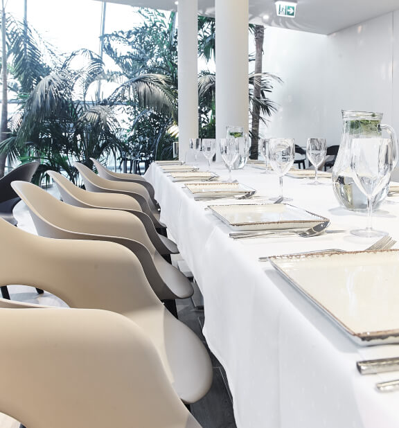 A long table with white cloth and chairs set up for a formal gathering