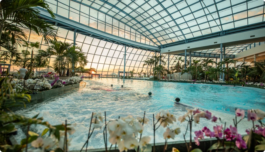 Indoor pool at Suntago, with tropical plants and orchids