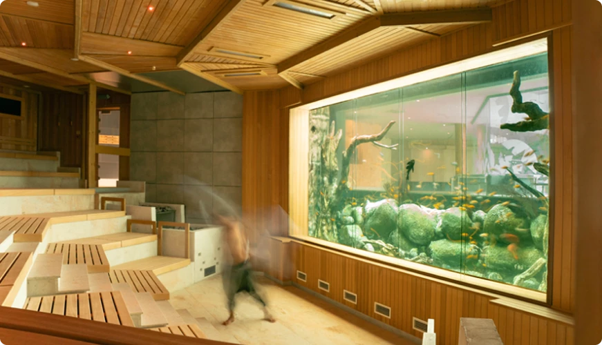 Sauna in the Relax zone with a large aquarium on the wall, cozy interior and wooden benches