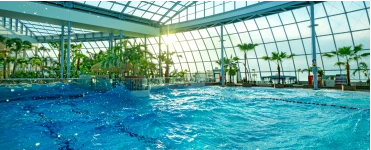 Indoor pool under a glass roof, surrounded by tropical flora