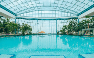 Indoor swimming pool with turquoise water under glass roof with palm trees in background