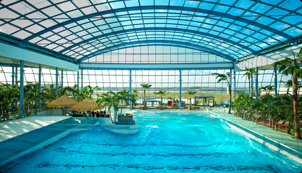 A spacious indoor wave pool, surrounded by palm trees
