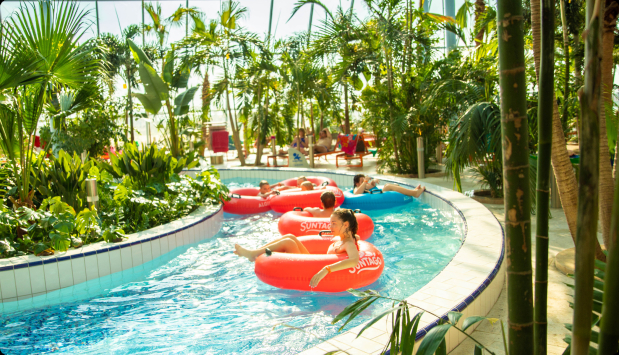 A group of people relaxing on pontoons in a swimming pool surrounded by palm trees