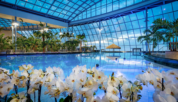 An indoor swimming pool surrounded by white orchids and palm trees, overlooking the sky at dusk