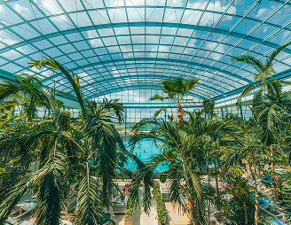 Interior of an indoor water park with a glass-domed ceiling, palm trees and a pool, cropped in a heart shape